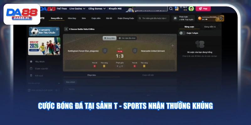 Cược bóng đá tại sảnh T - Sports nhận thưởng khủng