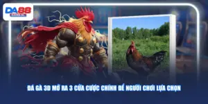 Đá Gà 3D