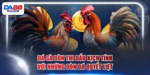 đá gà đòn