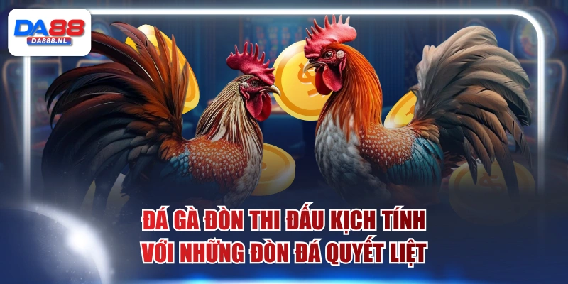 đá gà đòn