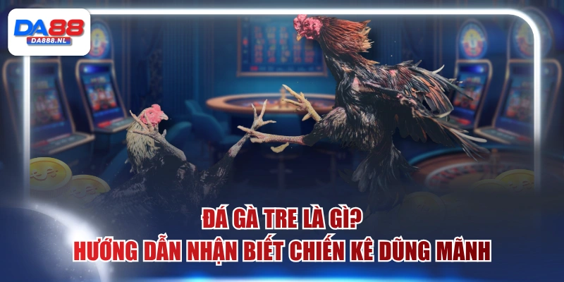 Đá gà tre