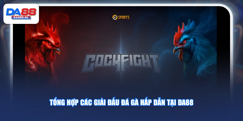 Tổng hợp các giải đấu đá gà hấp dẫn tại DA88