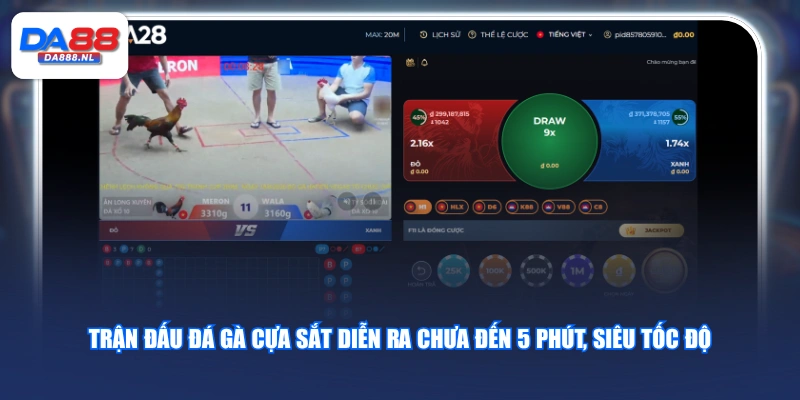 Trận đấu đá gà cựa đắt diễn ra chưa đến 5 phút, siêu tốc độ